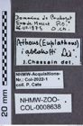 Etiketten zu Athous iablakoffi (NHMW-ZOO-COL-0008638)